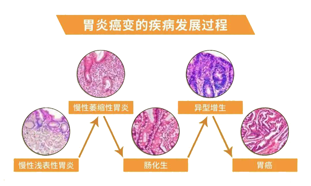 微信图片_2026-09-08_121728_528.png