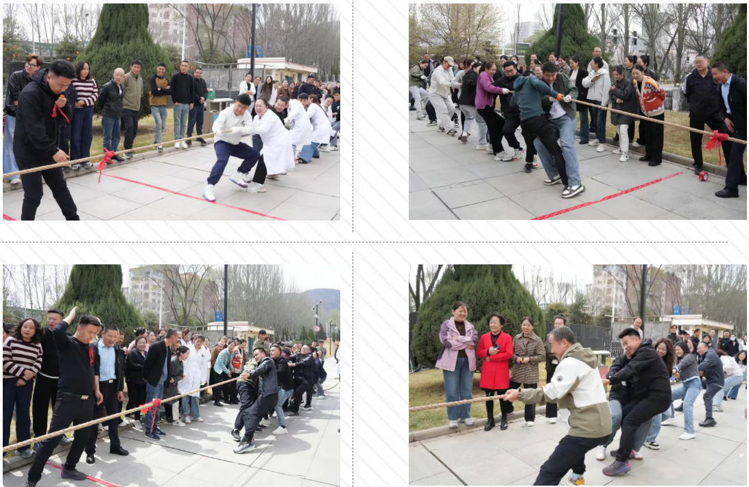 燃动金诃！拔河竞风采，同心向未来 ——金诃藏药2026年职工拔河比赛圆满结束